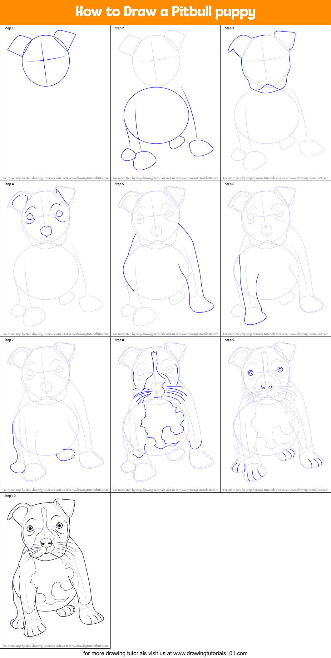 How to Draw a Pitbull puppy Printable Step by Step