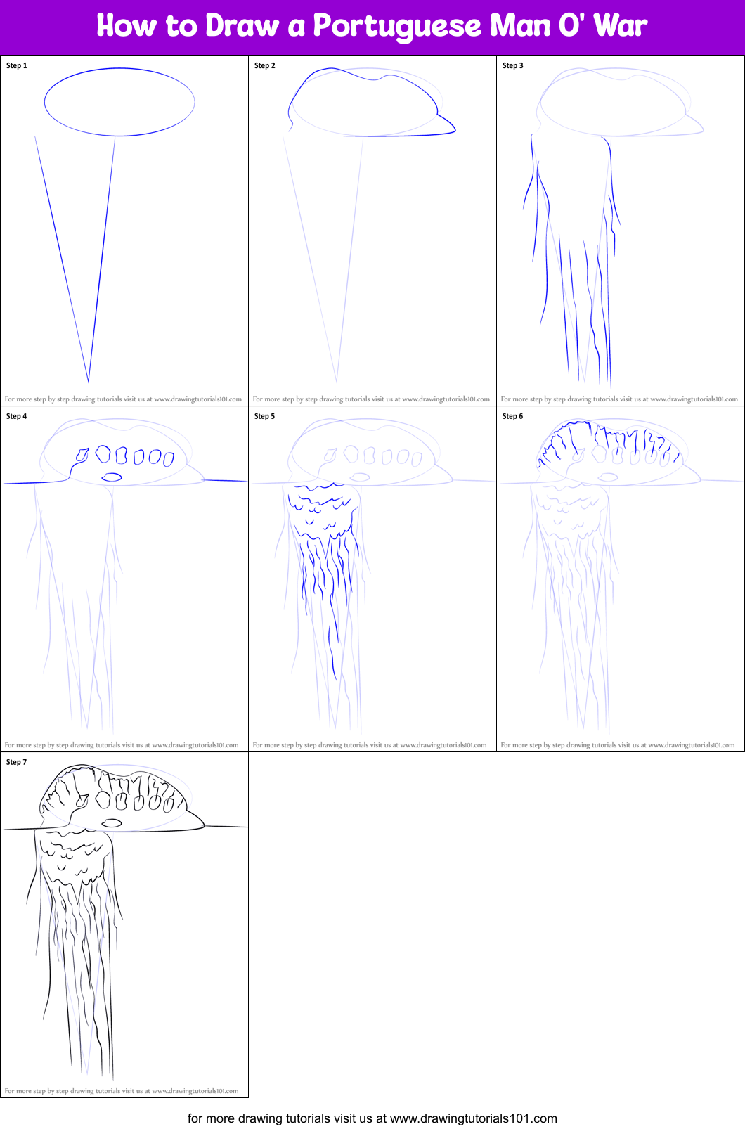 How to Draw a Portuguese Man O' War Printable Step by Step