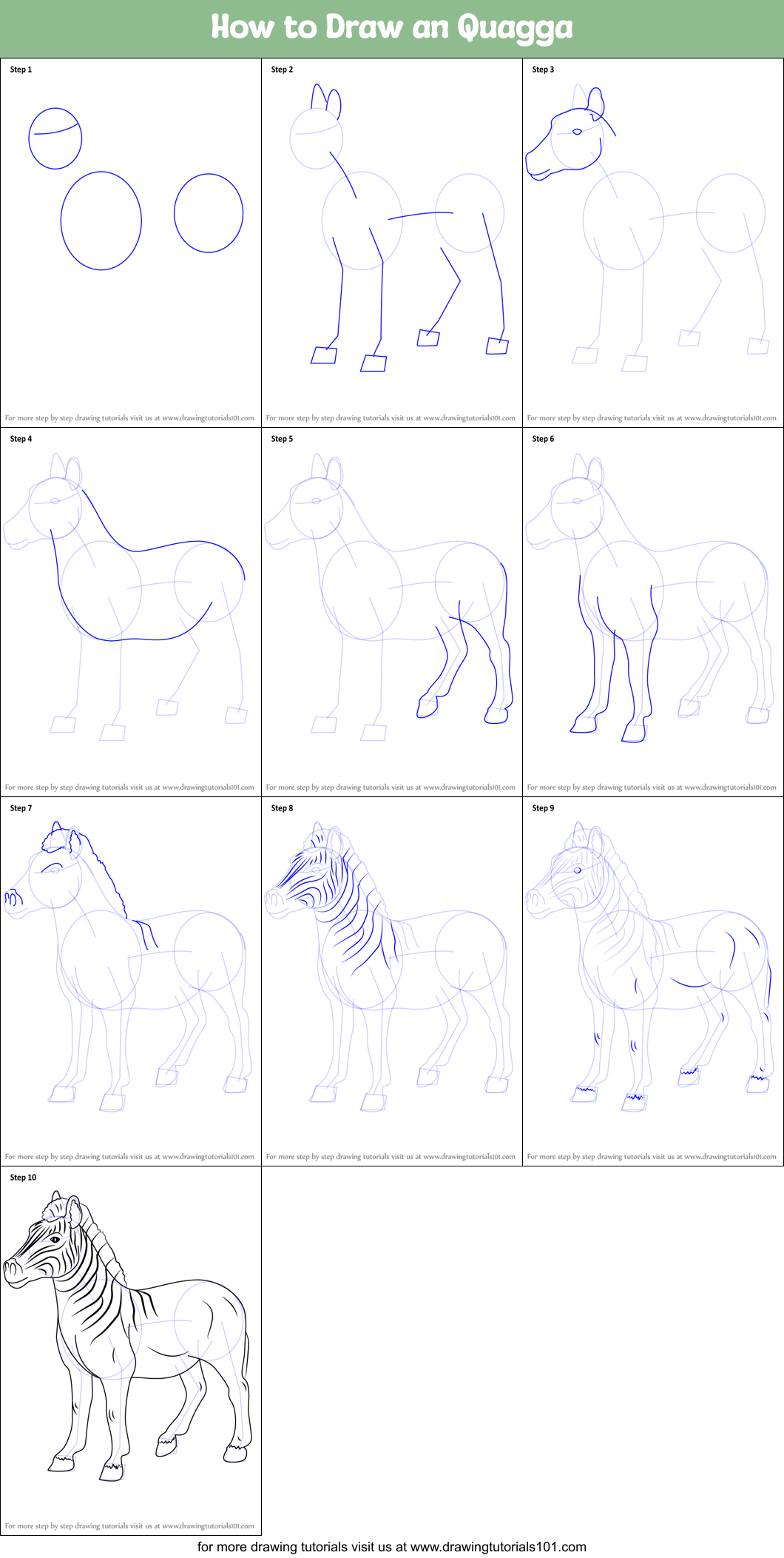 How to Draw an Quagga Printable Step by Step