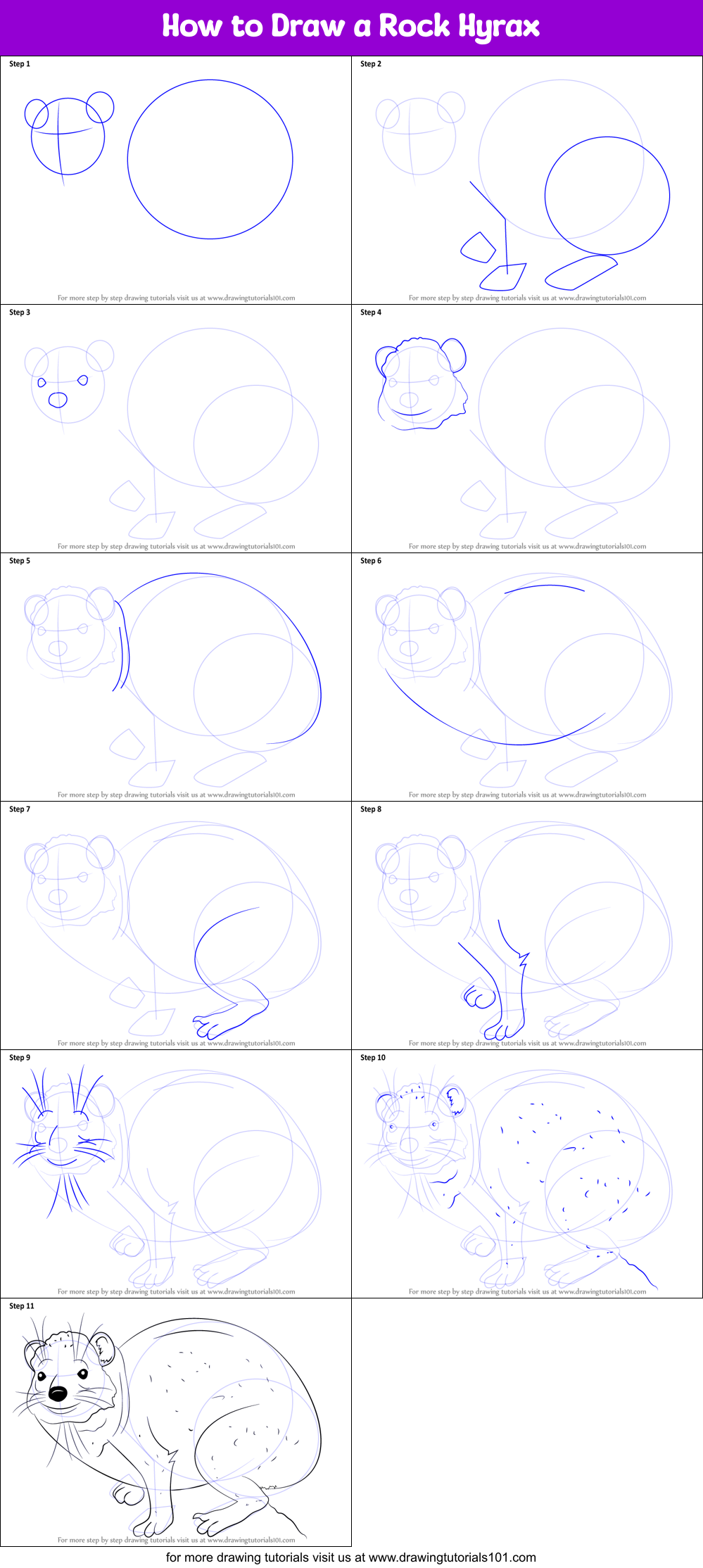 How to Draw a Rock Hyrax Printable Step by Step