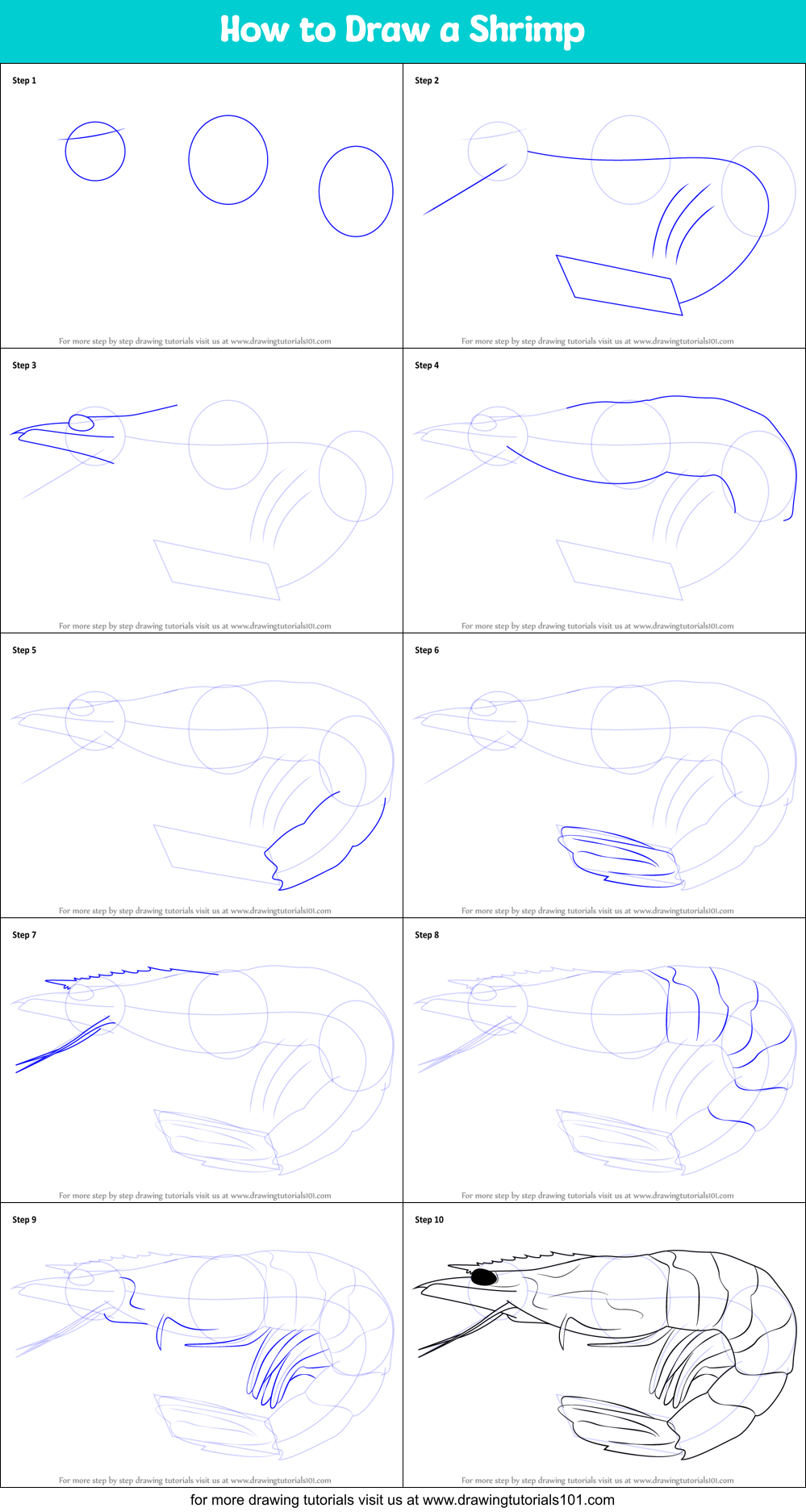 How to Draw a Shrimp Printable Step by Step