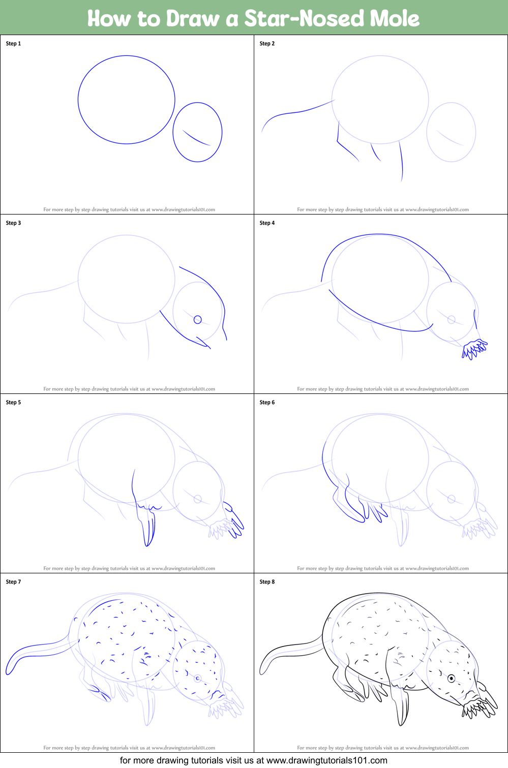 How to Draw a Star-Nosed Mole Printable Step by Step
