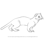 How to Draw a Short-Tailed Weasel