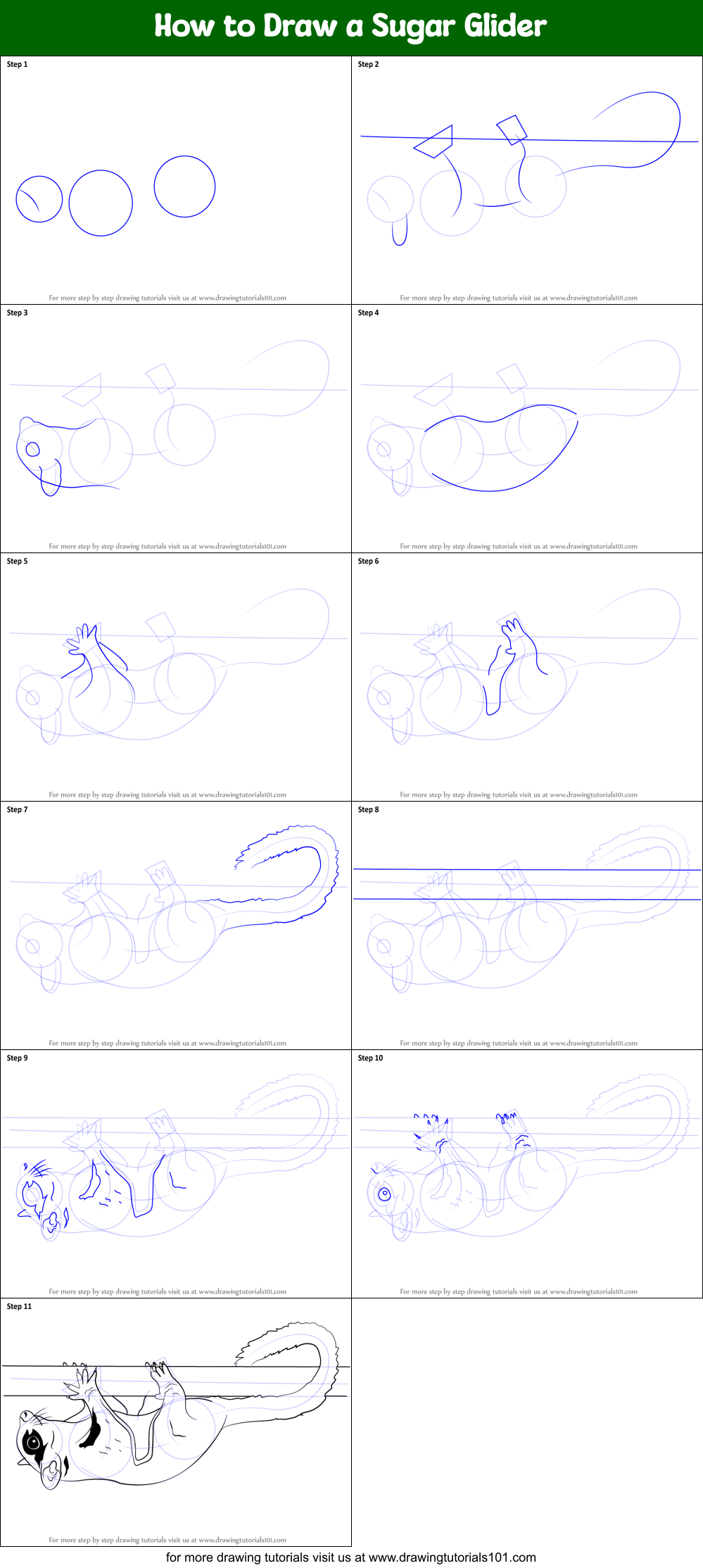 How to Draw a Sugar Glider printable step by step drawing sheet