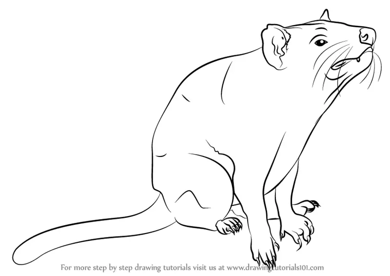 Flamin Darwin: 30+ Trends Ideas Easy Tasmanian Devil Cartoon Drawing