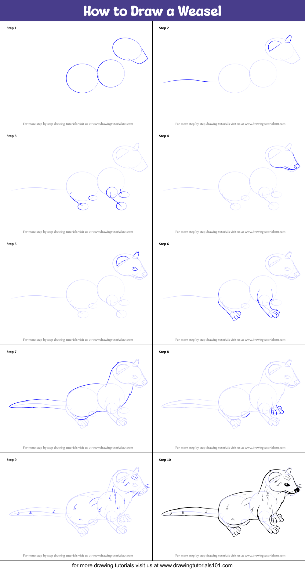 How to Draw a Weasel Printable Step by Step