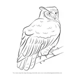How to Draw a Great Horned Owl