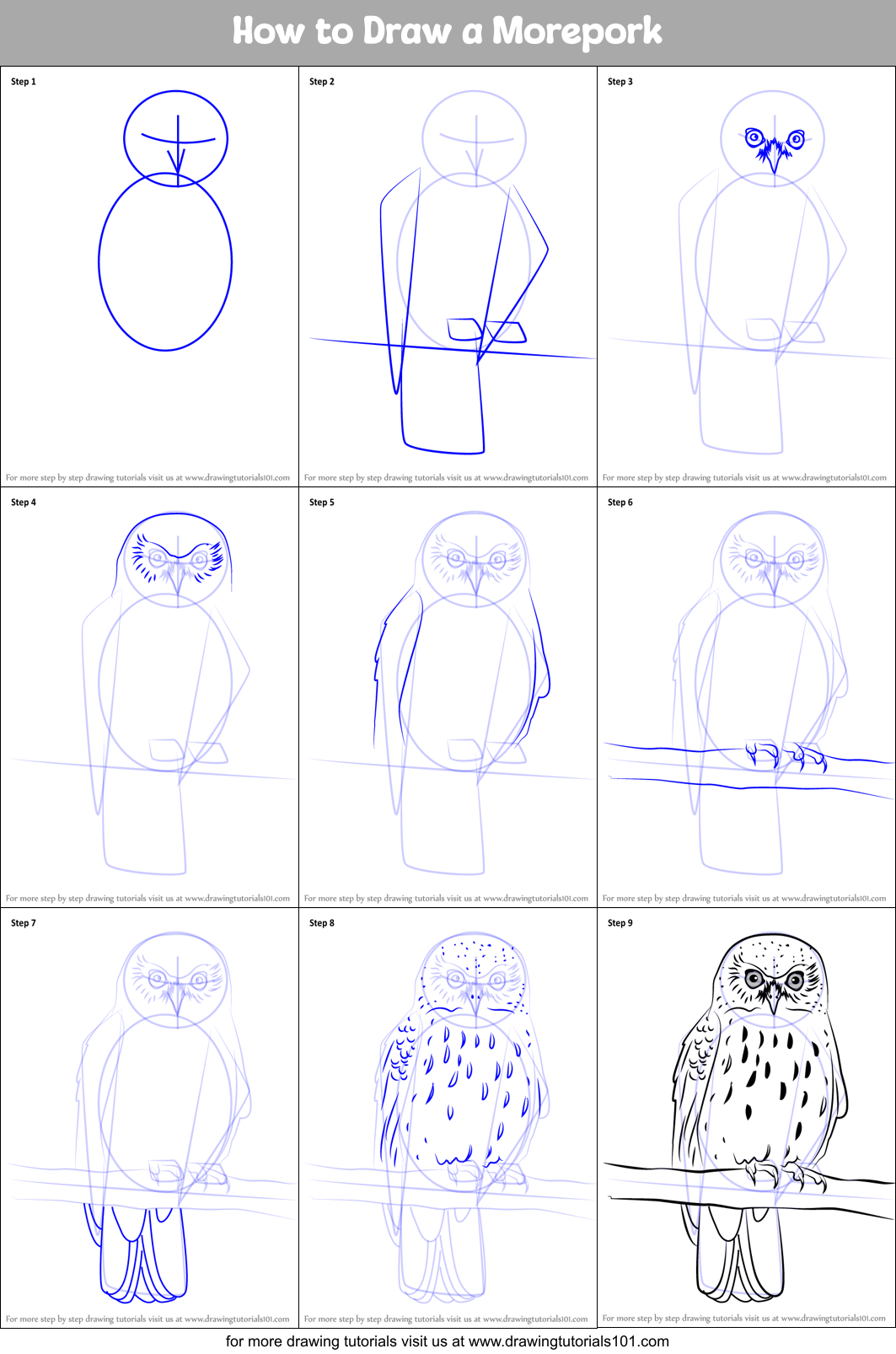 How to Draw a Morepork Printable Step by Step
