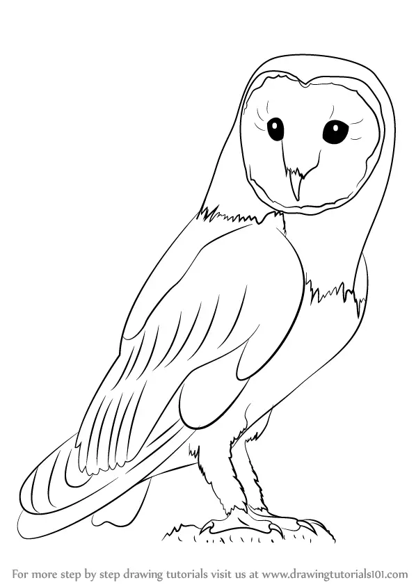 Easy Owl Drawing Step-by-Step Tutorial - Craft-Mart