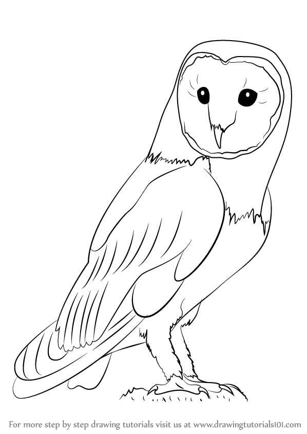 How to draw an owl with a pencil step-by-step drawing tutorial