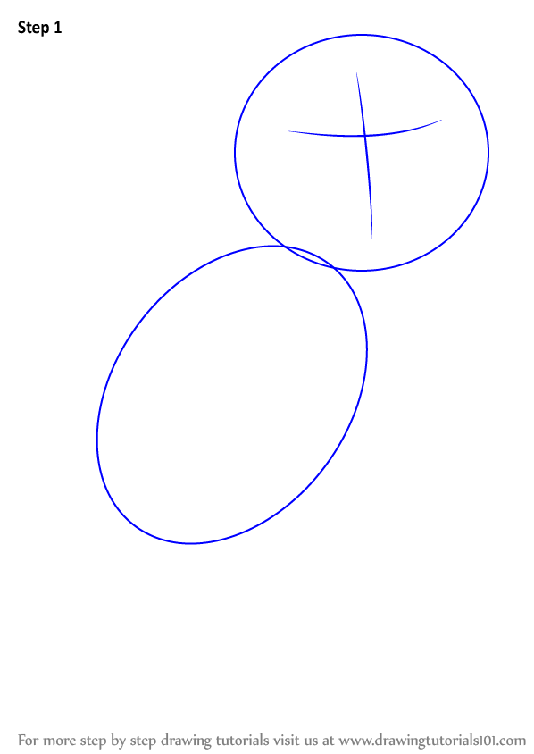 How to Draw a Spotted Owl (Owls) Step by Step