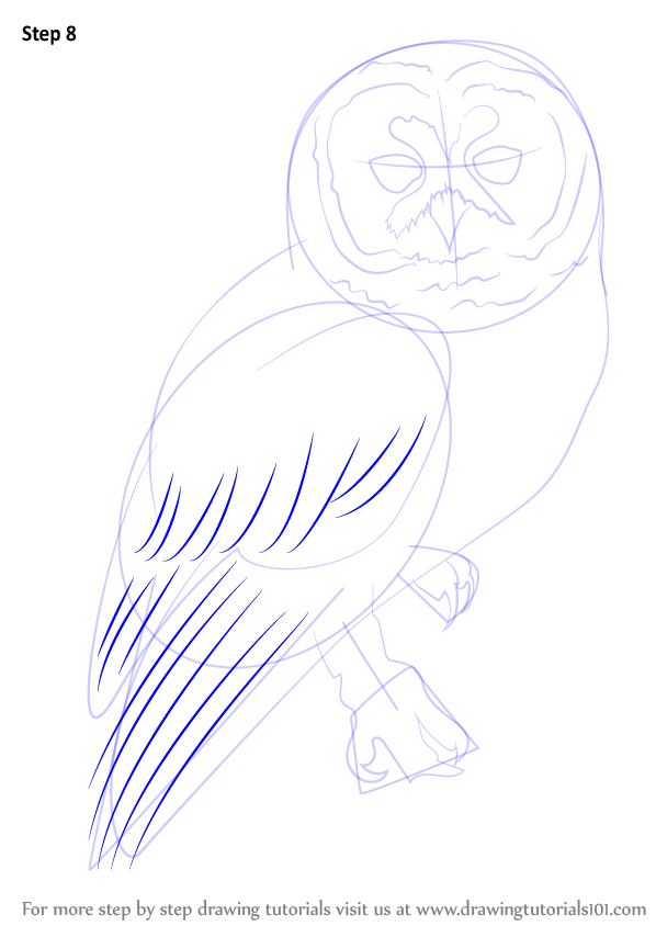 owl how by draw to step step by Draw Step Learn Step How (Owls) Owl a to Spotted