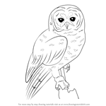 How to Draw a Spotted Owl