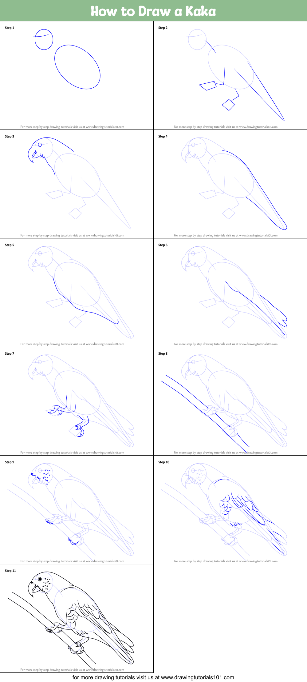 How to Draw a Kaka Printable Step by Step