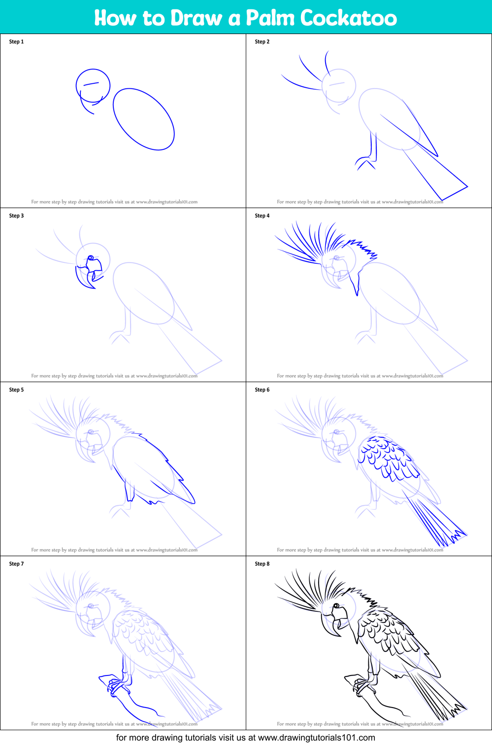 How To Draw A Palm Cockatoo Printable Step By Step Drawing Sheet