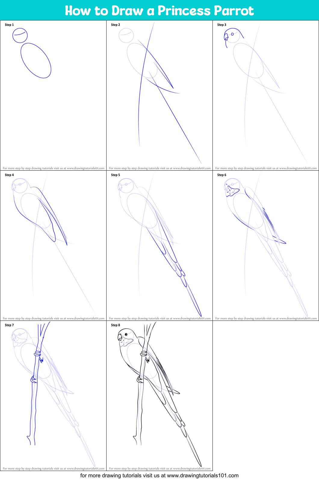 How to Draw a Princess Parrot Printable Step by Step