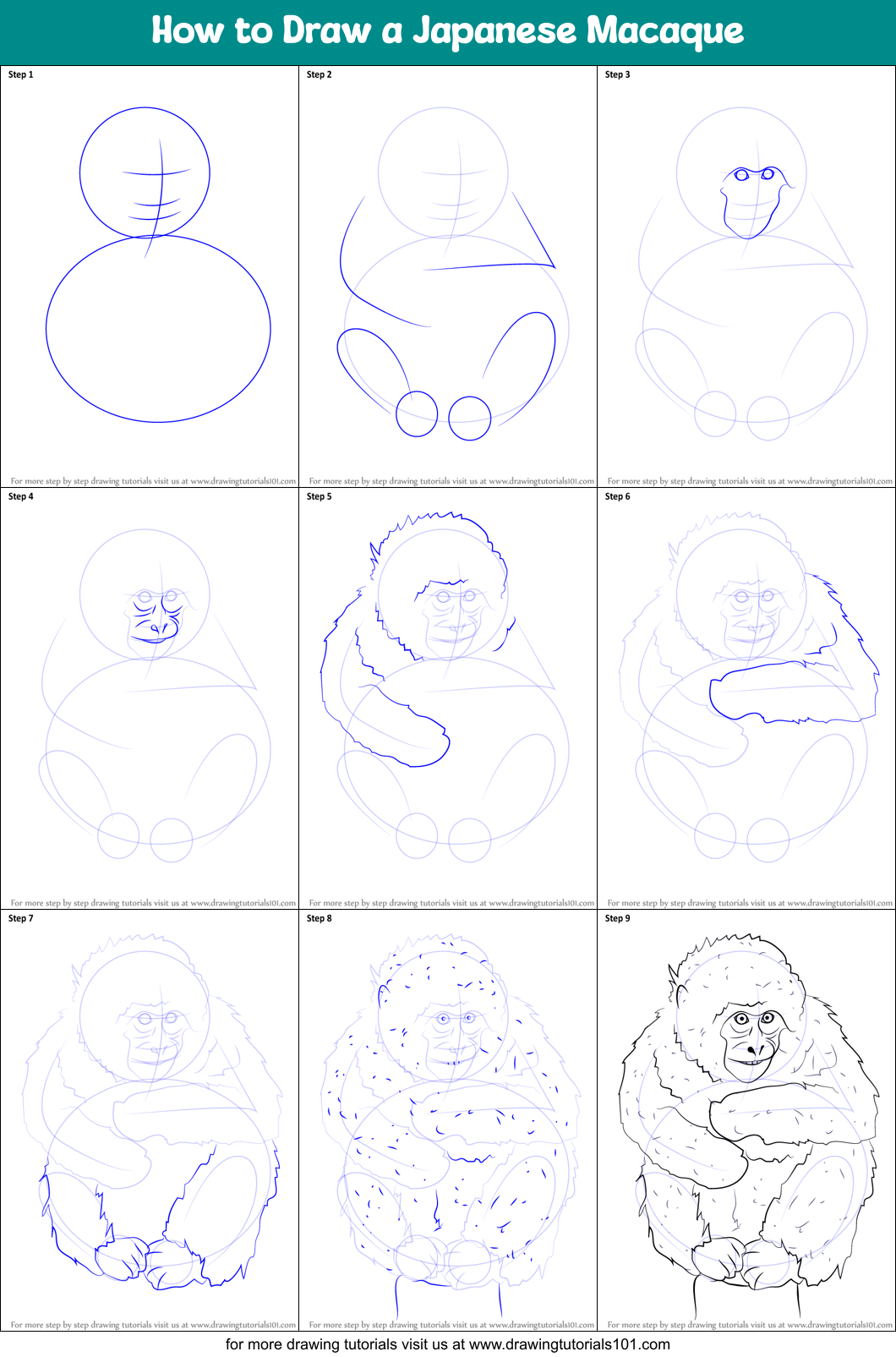 How to Draw a Japanese Macaque Printable Step by Step