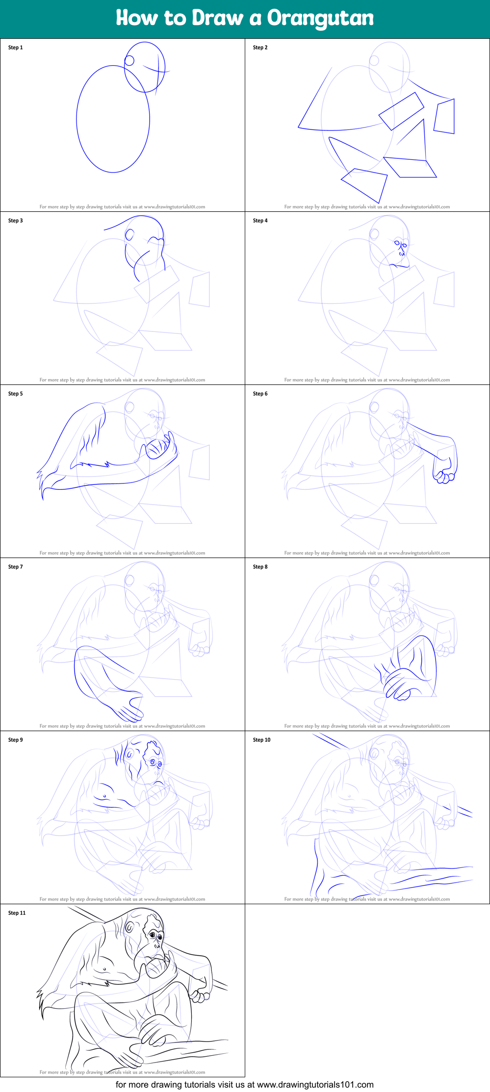 How to Draw a Orangutan Printable Step by Step