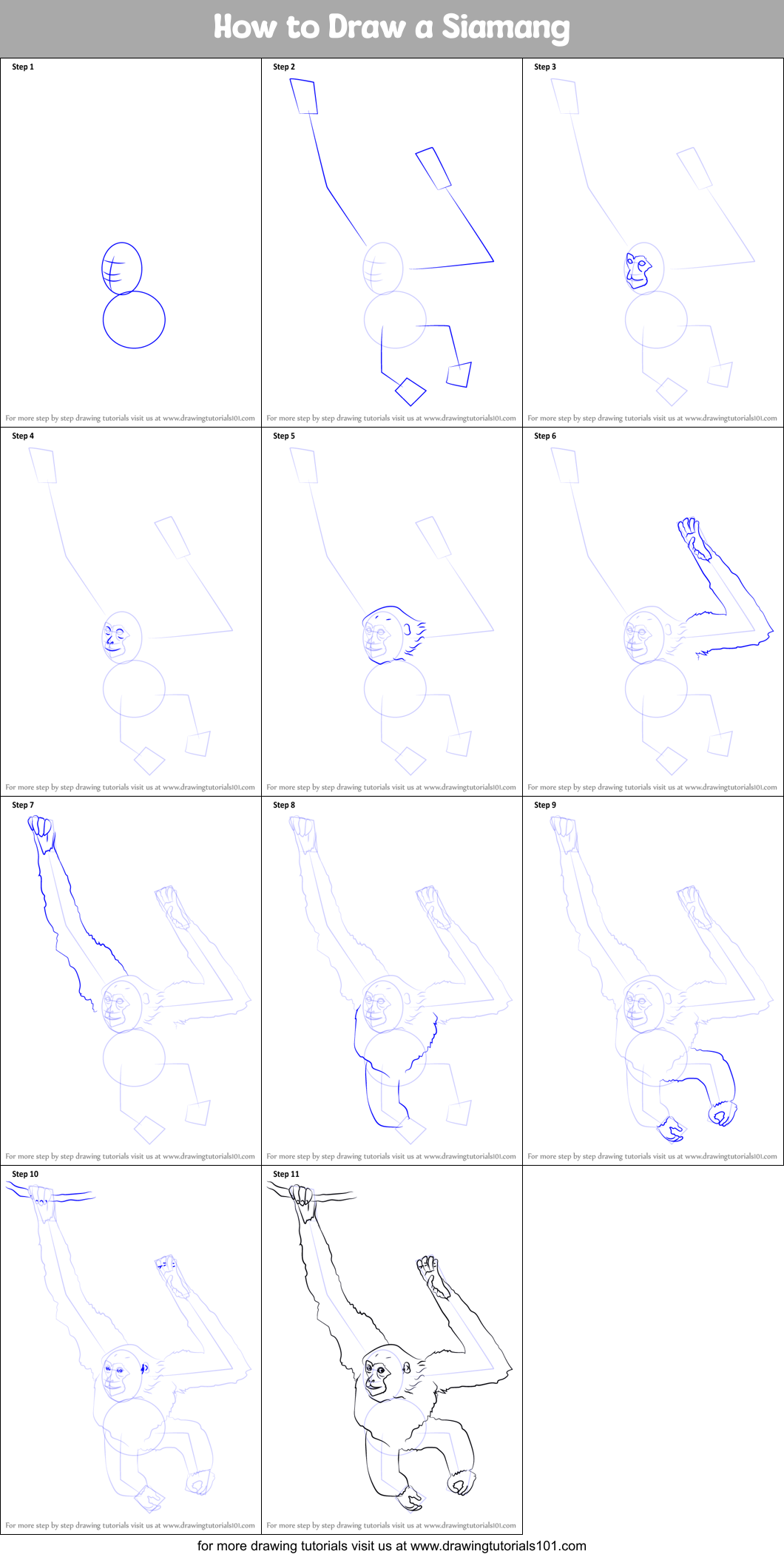 How to Draw a Siamang Printable Step by Step