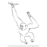 How to Draw a Siamang