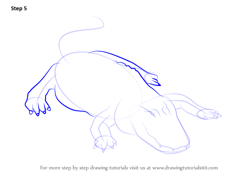 Learn How to Draw an American alligator (Reptiles) Step by Step