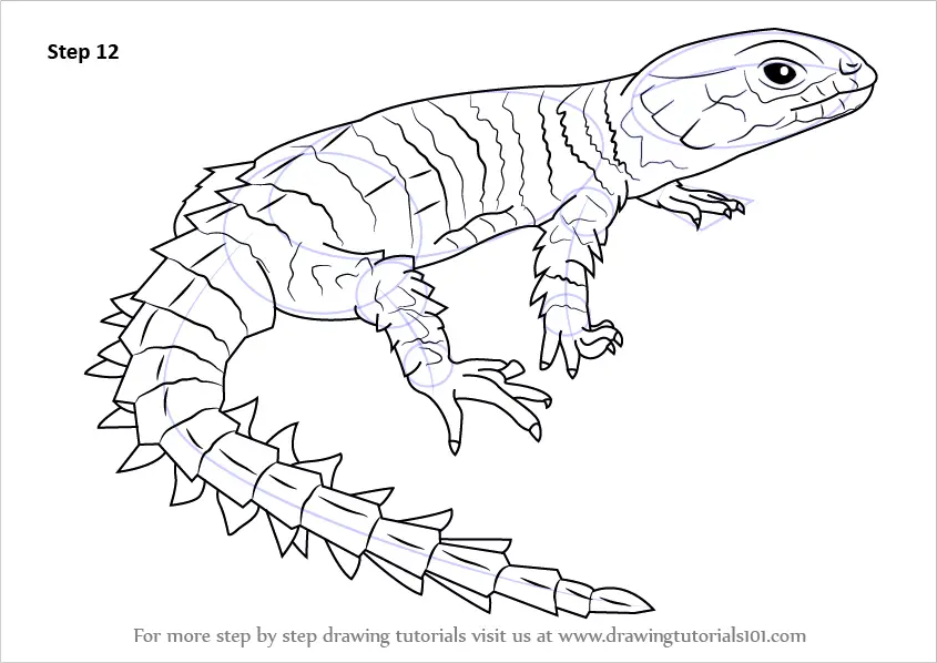 how to draw Armadillo Girdled Lizard step 12