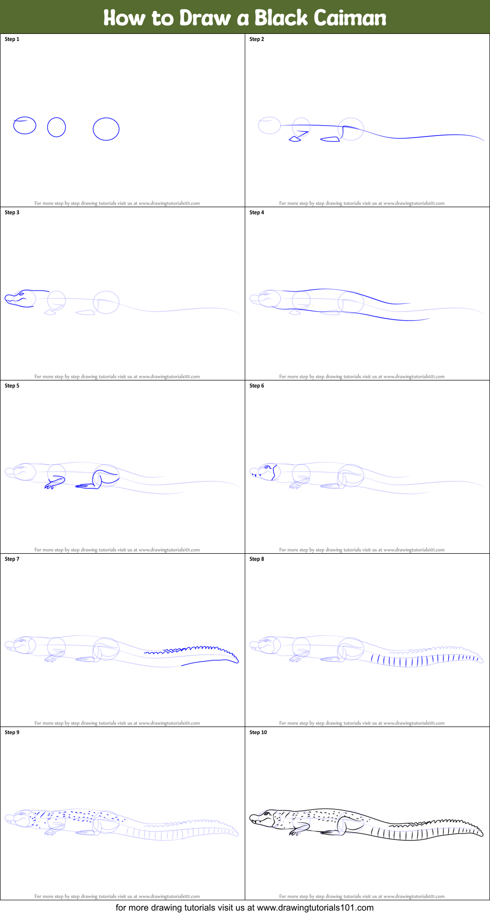 How to Draw a Black Caiman Printable Step by Step