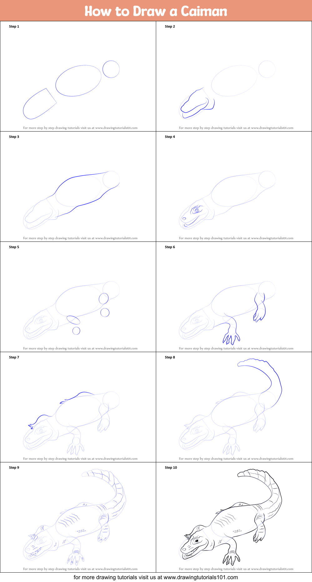 How to Draw a Caiman Printable Step by Step