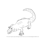 How to Draw a Caiman