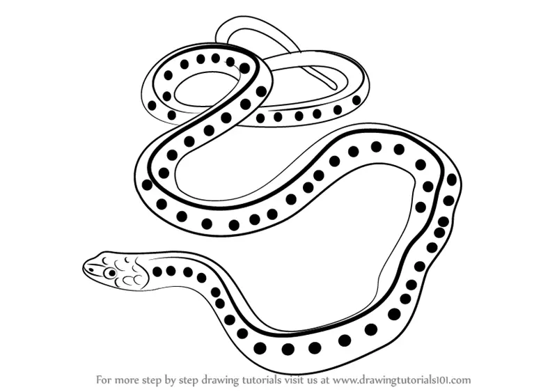 Featured image of post Snake Drawing Images Select from premium snake drawing of the highest quality