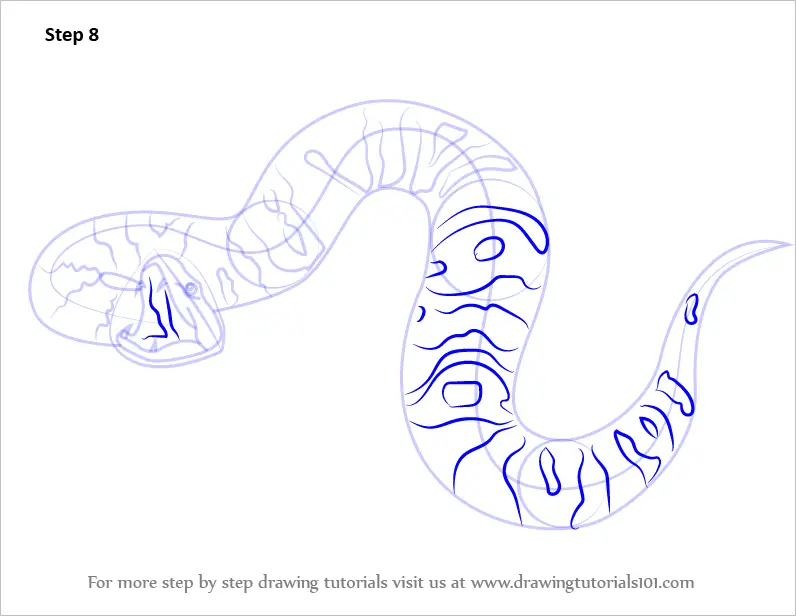 Download Step by Step How to Draw a Cottonmouth ...