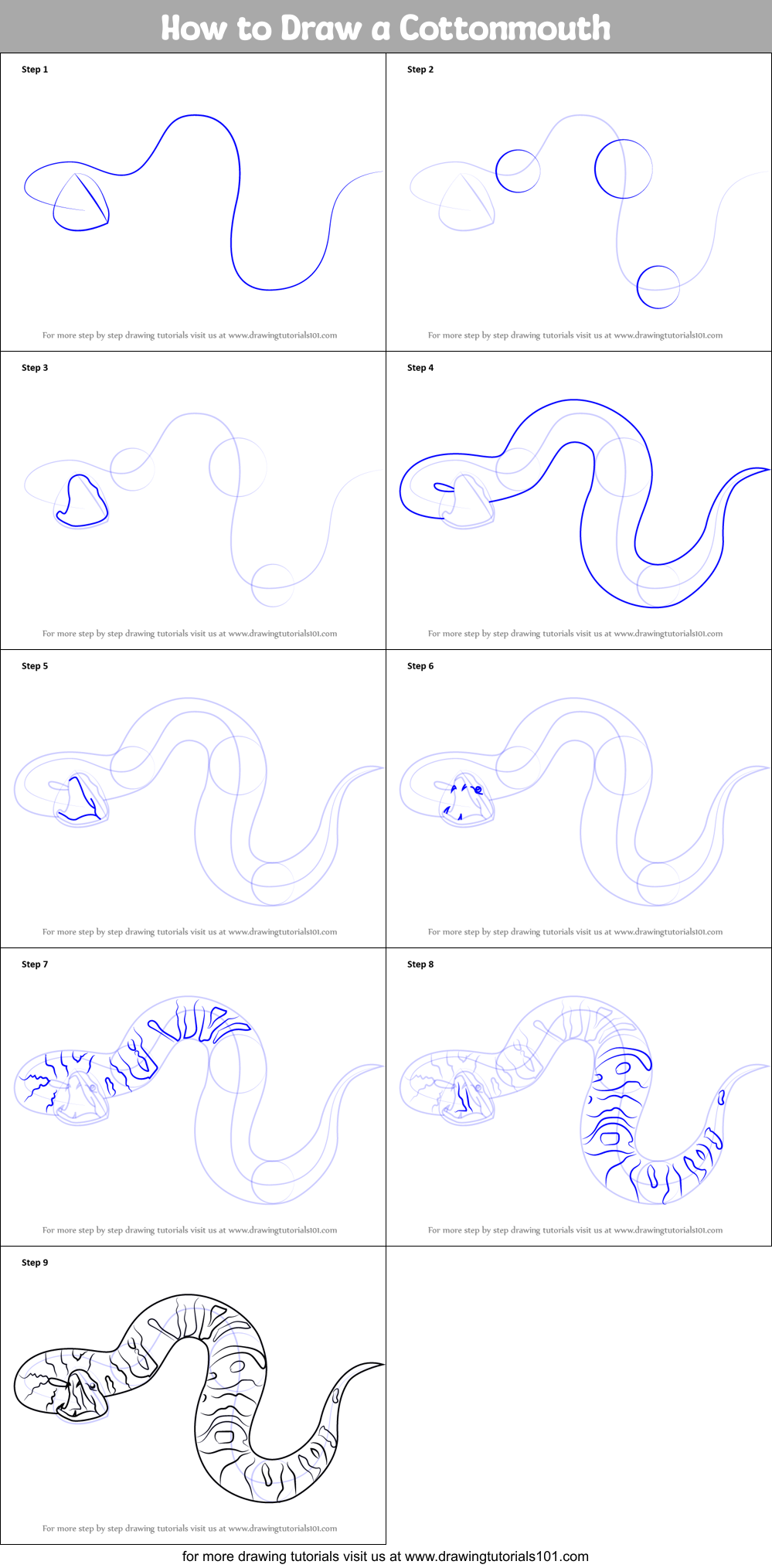 How to Draw a Cottonmouth Printable Step by Step