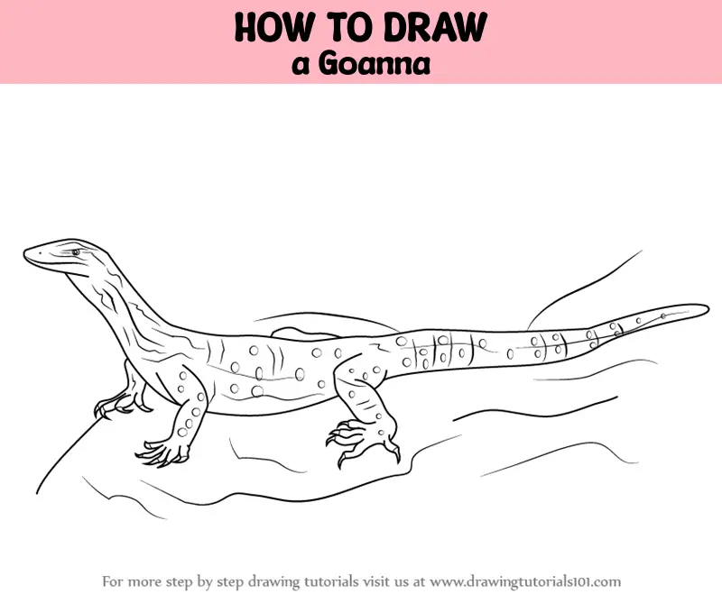 How to Draw a Goanna (Reptiles) Step by Step | DrawingTutorials101.com