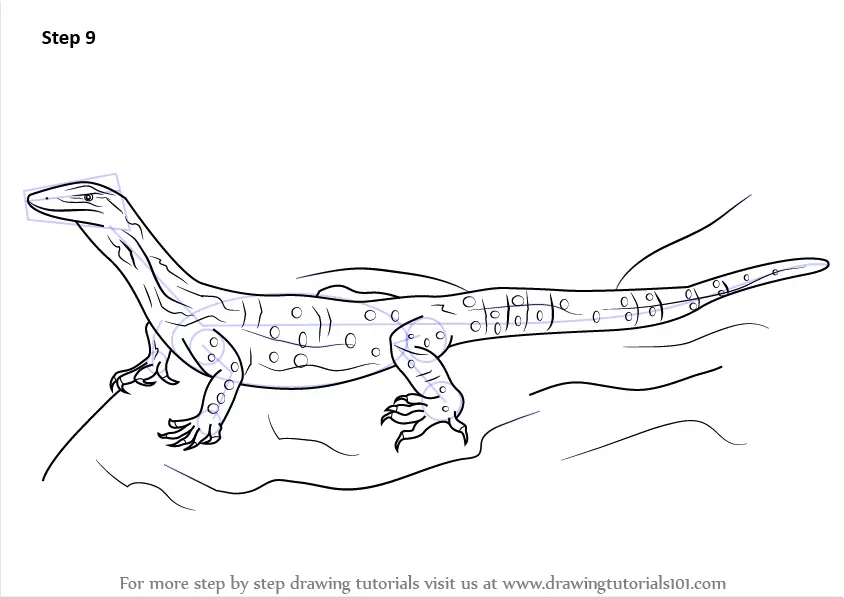 Learn How to Draw a Goanna (Reptiles) Step by Step : Drawing Tutorials