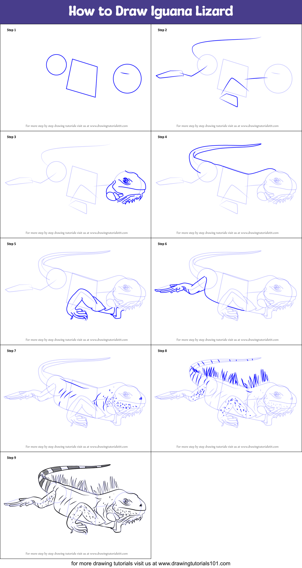 How to Draw Iguana Lizard Printable Step by Step