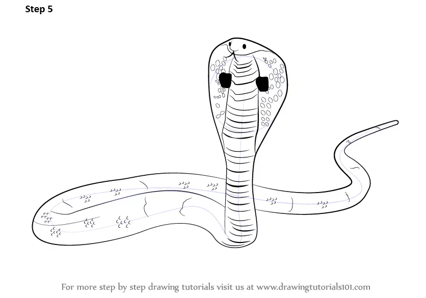 How to Draw a King Cobra (Reptiles) Step by Step | DrawingTutorials101.com