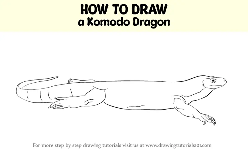 How to Draw a Komodo Dragon (Reptiles) Step by Step ...