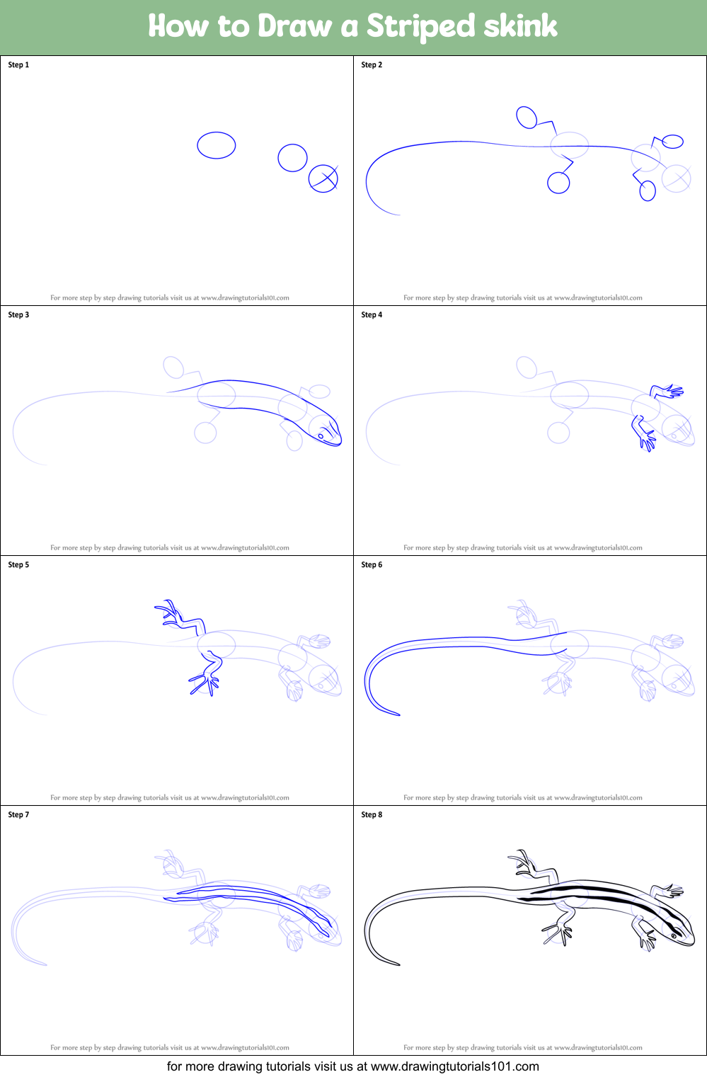 How to Draw a Striped skink Printable Step by Step
