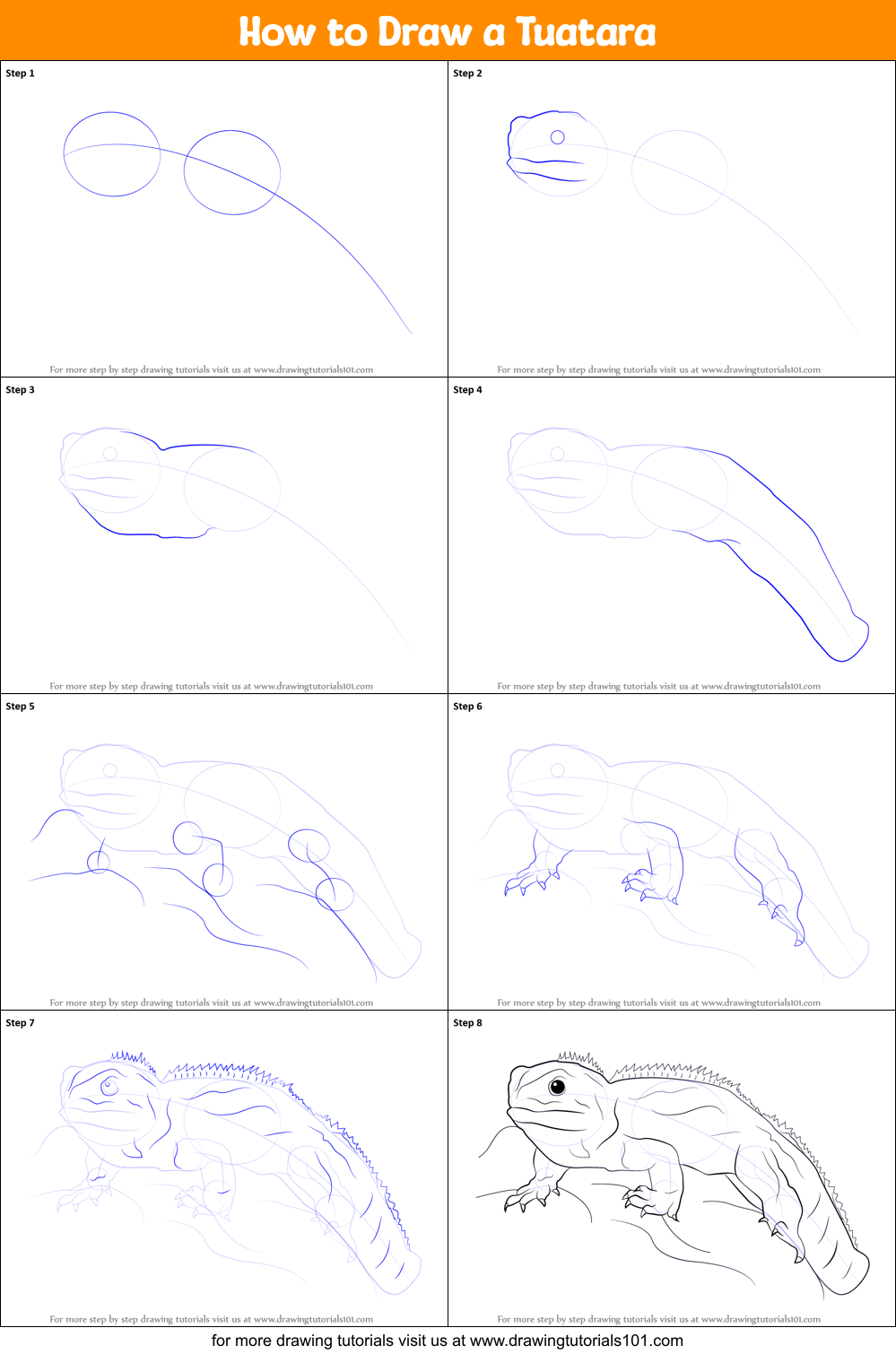 How to Draw a Tuatara Printable Step by Step