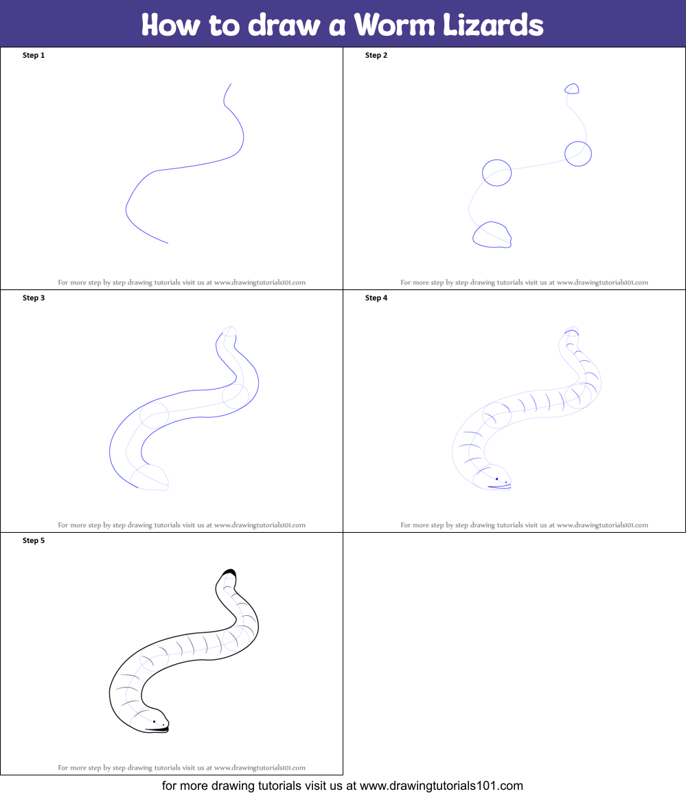 How to draw a Worm Lizards Printable Step by Step