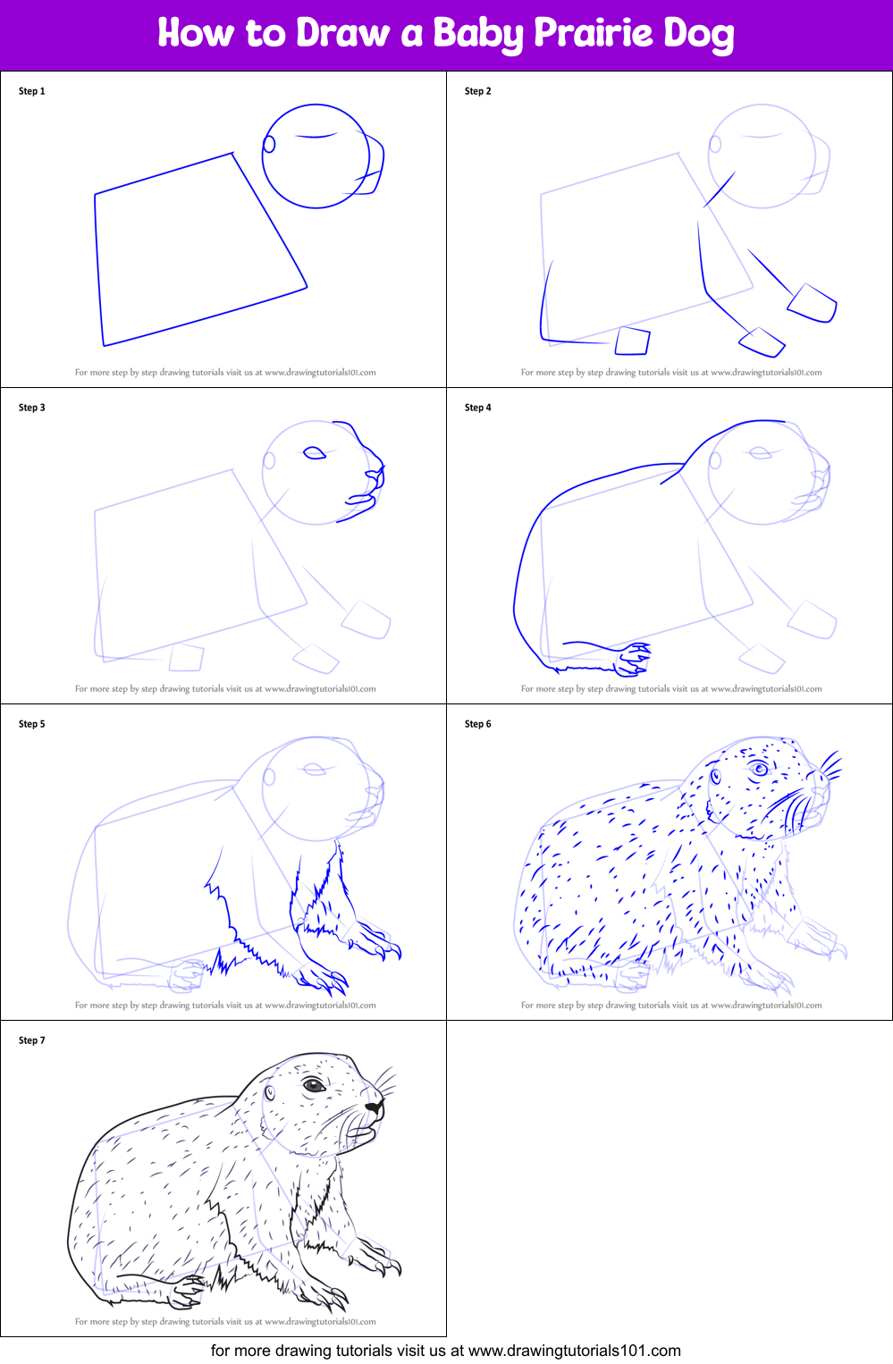 How to Draw a Baby Prairie Dog Printable Step by Step