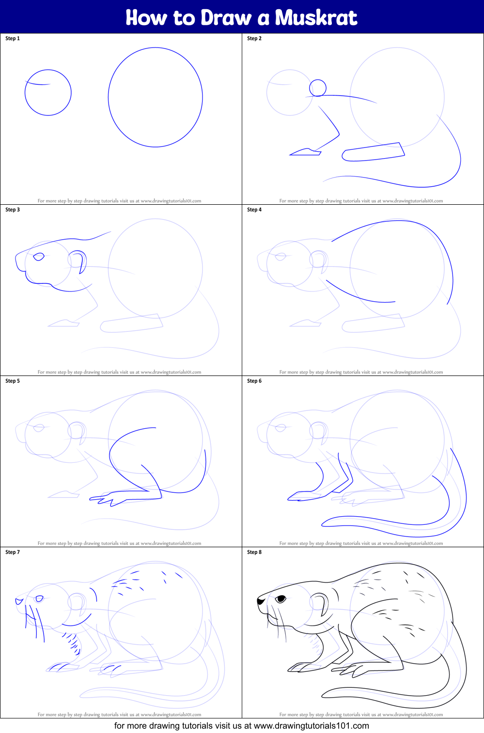 How to Draw a Muskrat Printable Step by Step