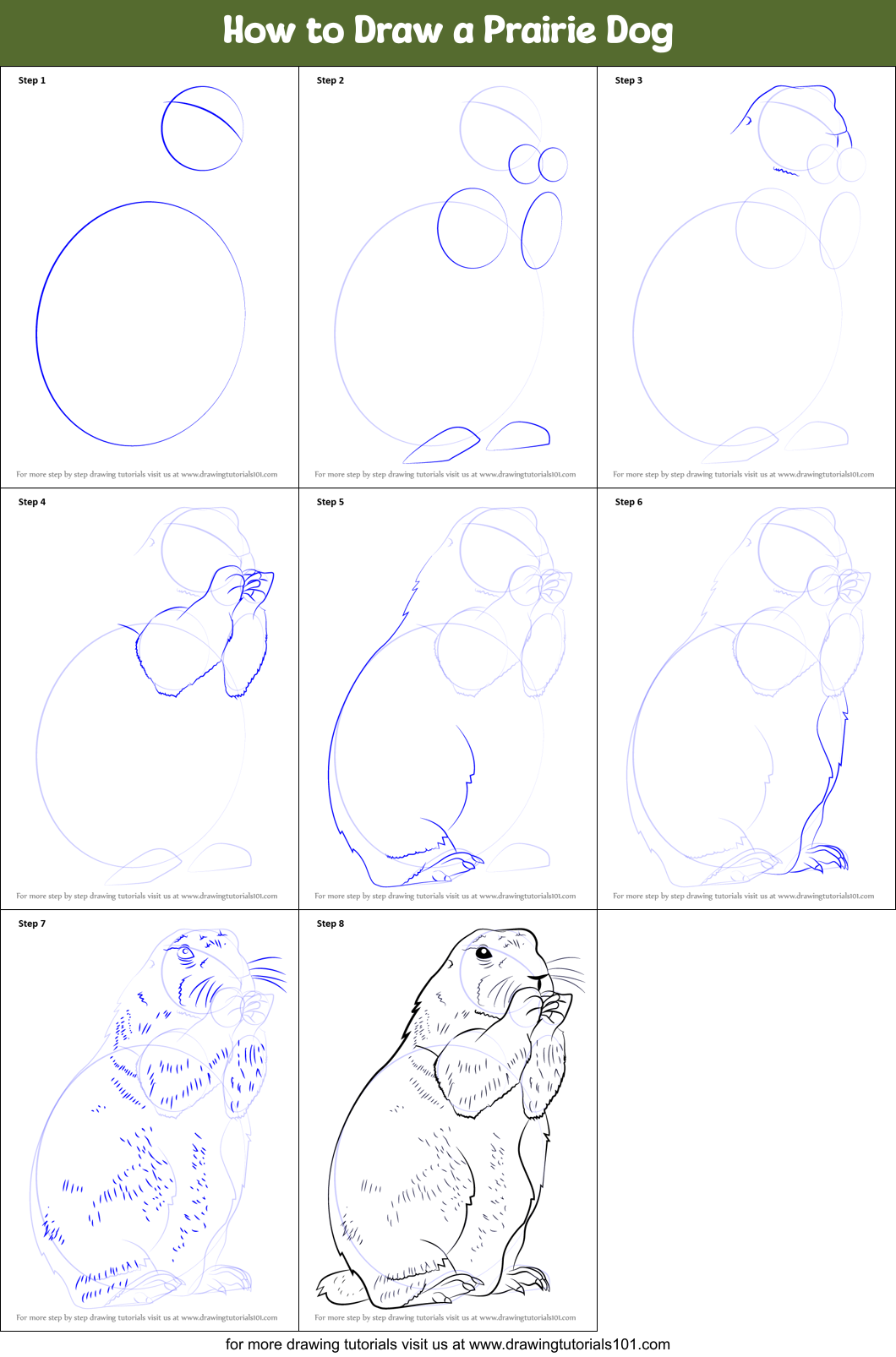 How to Draw a Prairie Dog printable step by step drawing sheet