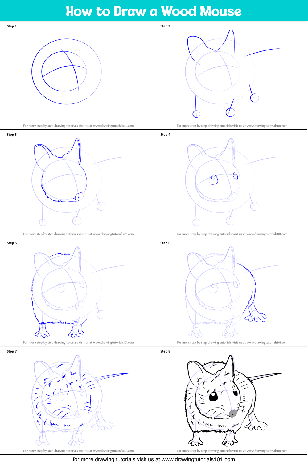 How to Draw a Wood Mouse Printable Step by Step