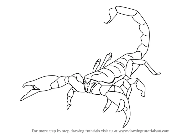 Learn How to Draw an Emperor Scorpion (Scorpions) Step by Step
