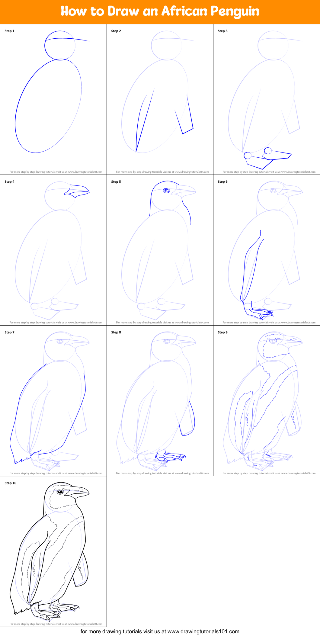 How to Draw an African Penguin printable step by step drawing sheet