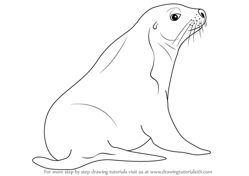 One single line drawing of adorable sea lion... - Stock Illustration  [67582016] - PIXTA