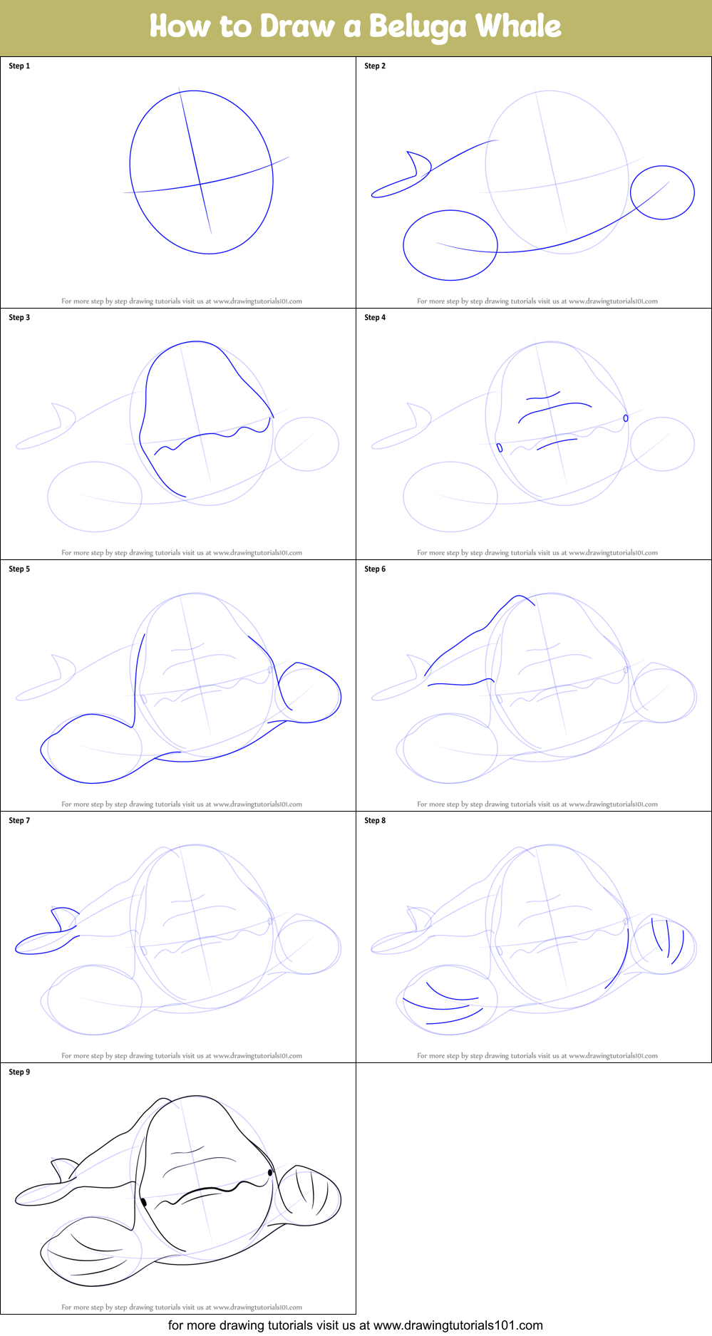 How to Draw a Beluga Whale Printable Step by Step