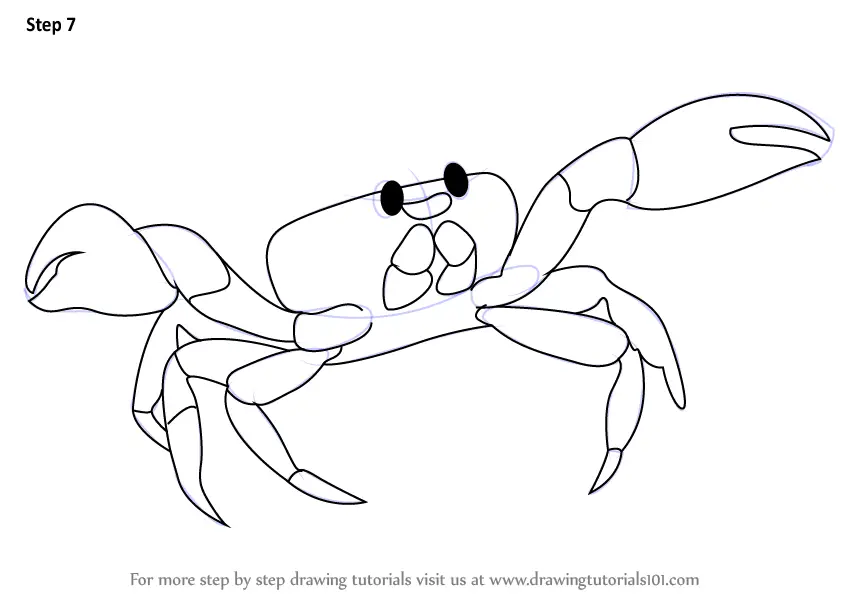 water animals crab