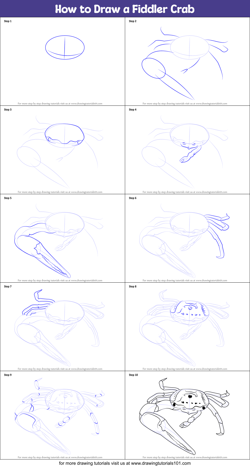 How to Draw a Fiddler Crab Printable Step by Step